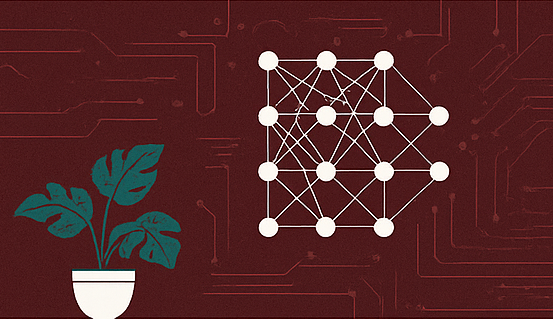 Neural Net Graphic